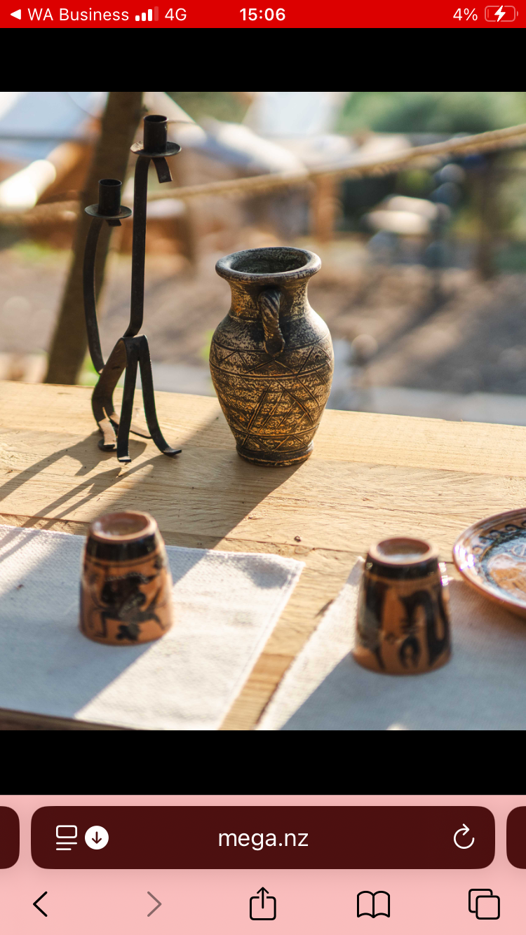 Uliveto di Petra Sky Glamping di notte con volpe e luci